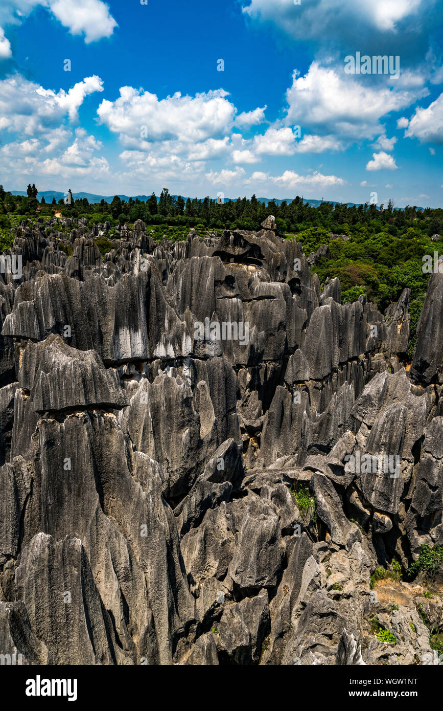 La forêt de pierre de Kunming, Chine Banque D'Images