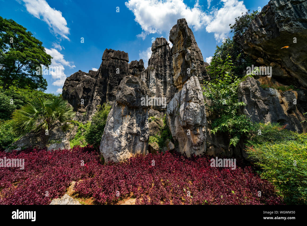 La forêt de pierre de Kunming, Chine Banque D'Images