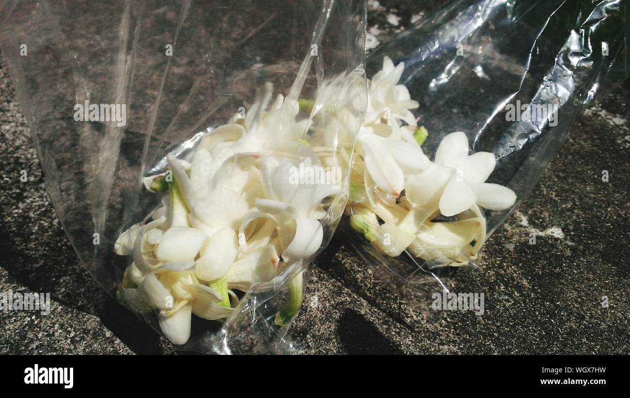Fleurs blanches dans le sac en plastique Photo Stock - Alamy