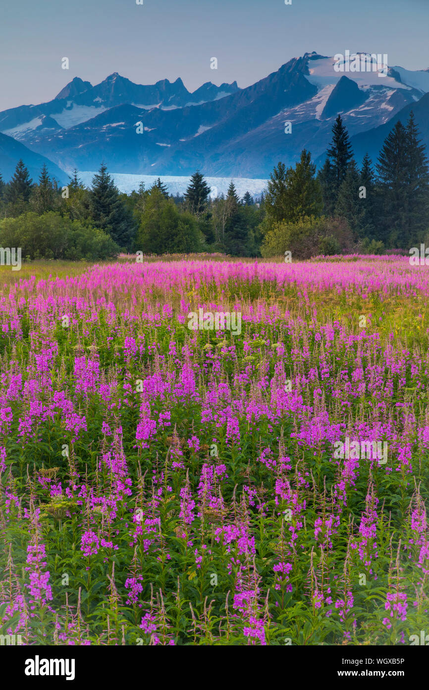 Parc de la fraternité, Juneau, Alaska. Banque D'Images