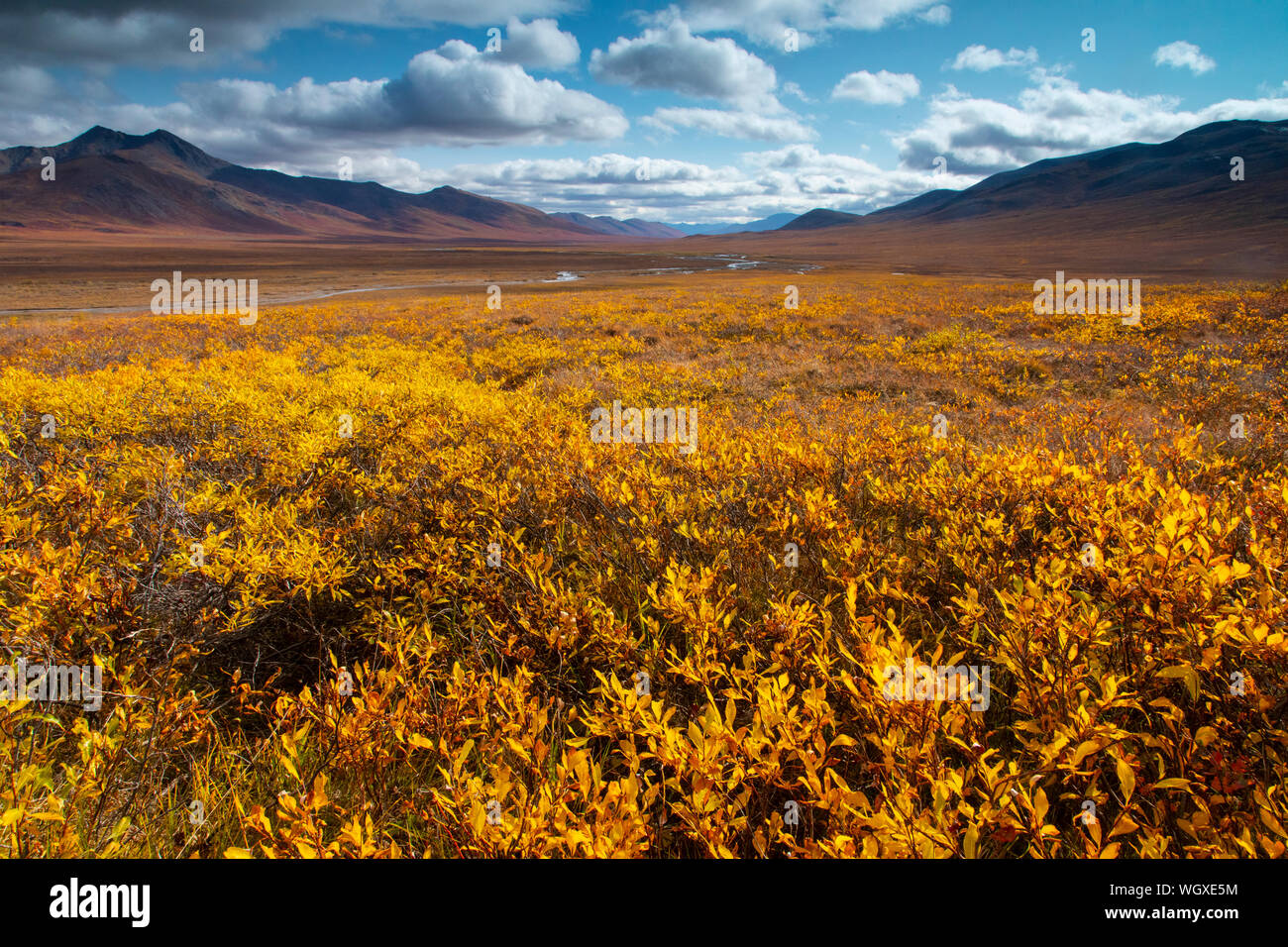 L'automne dans la chaîne de Brooks, Dalton Highway, en Alaska. Banque D'Images