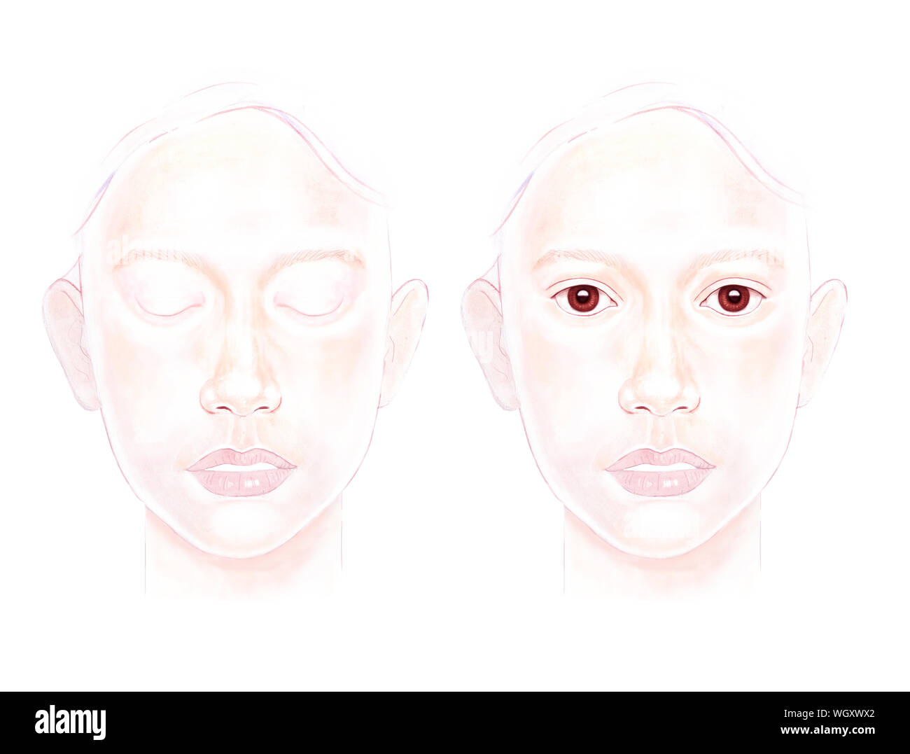 Visages de femmes, les yeux fermés et les yeux ouverts, pour le maquillage pratique, pratique pour la peinture du visage. Banque D'Images