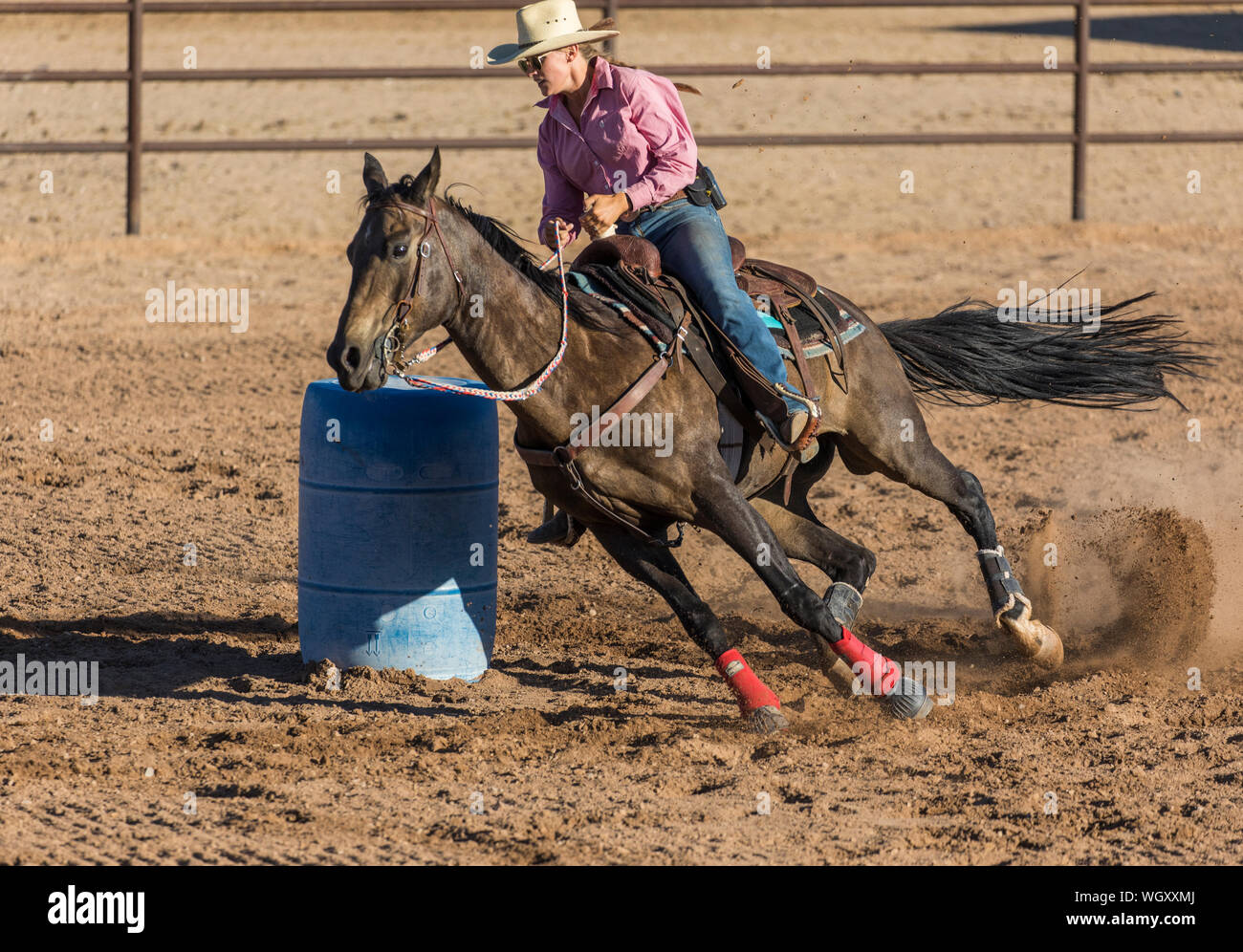 White Stallion Ranch, Tucson, Arizona. Banque D'Images