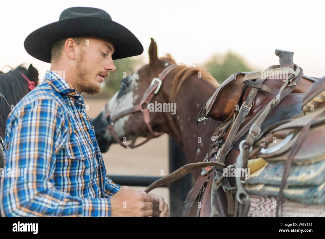 White Stallion Ranch, Tucson, Arizona. Banque D'Images