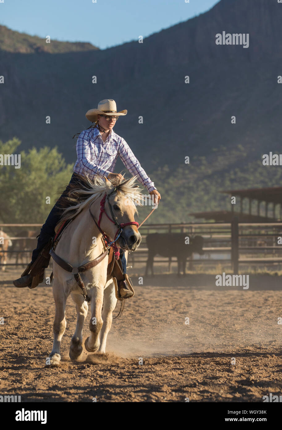 White Stallion Ranch, Tucson, Arizona. Banque D'Images