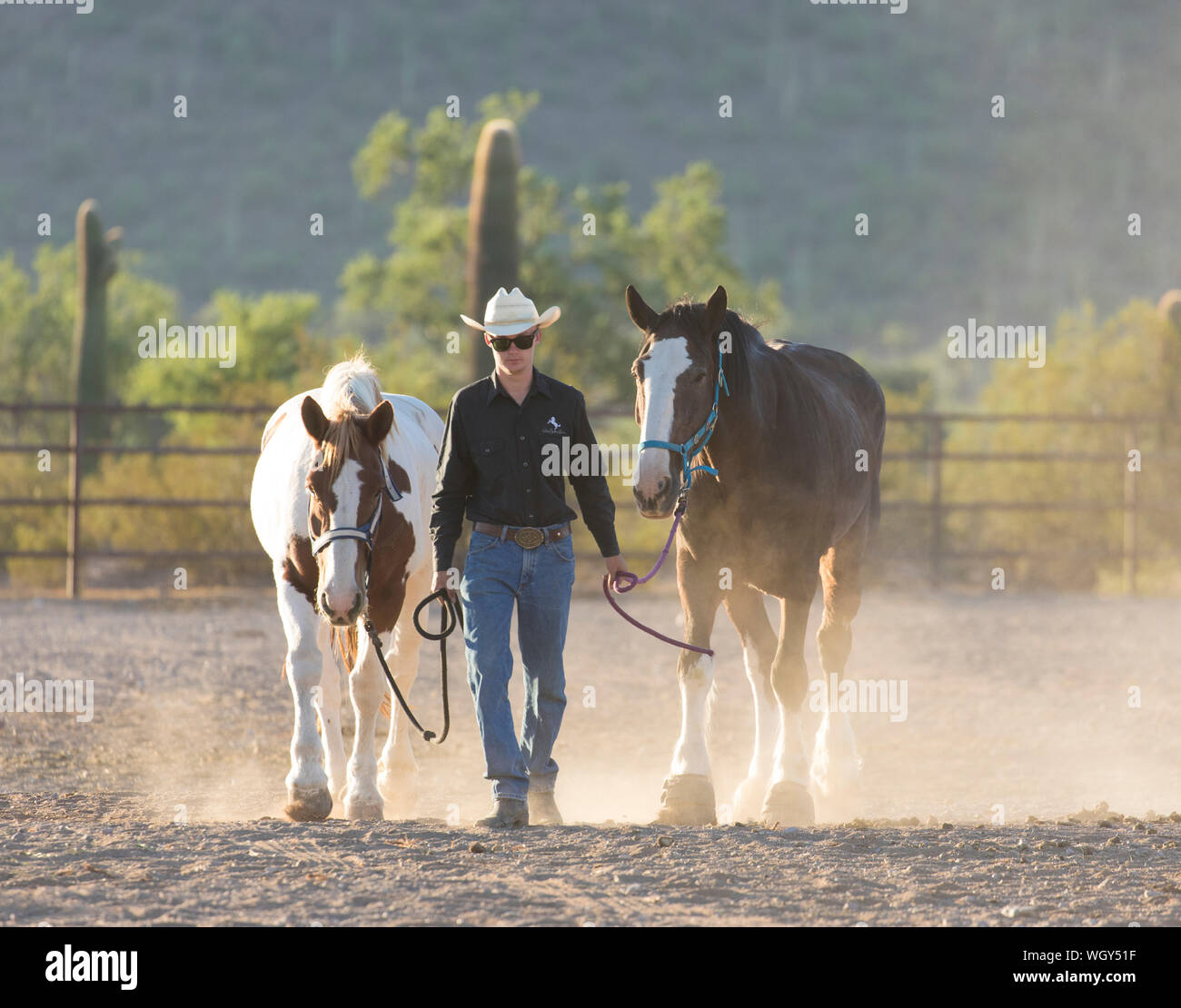 White Stallion Ranch, Tucson, Arizona. Banque D'Images