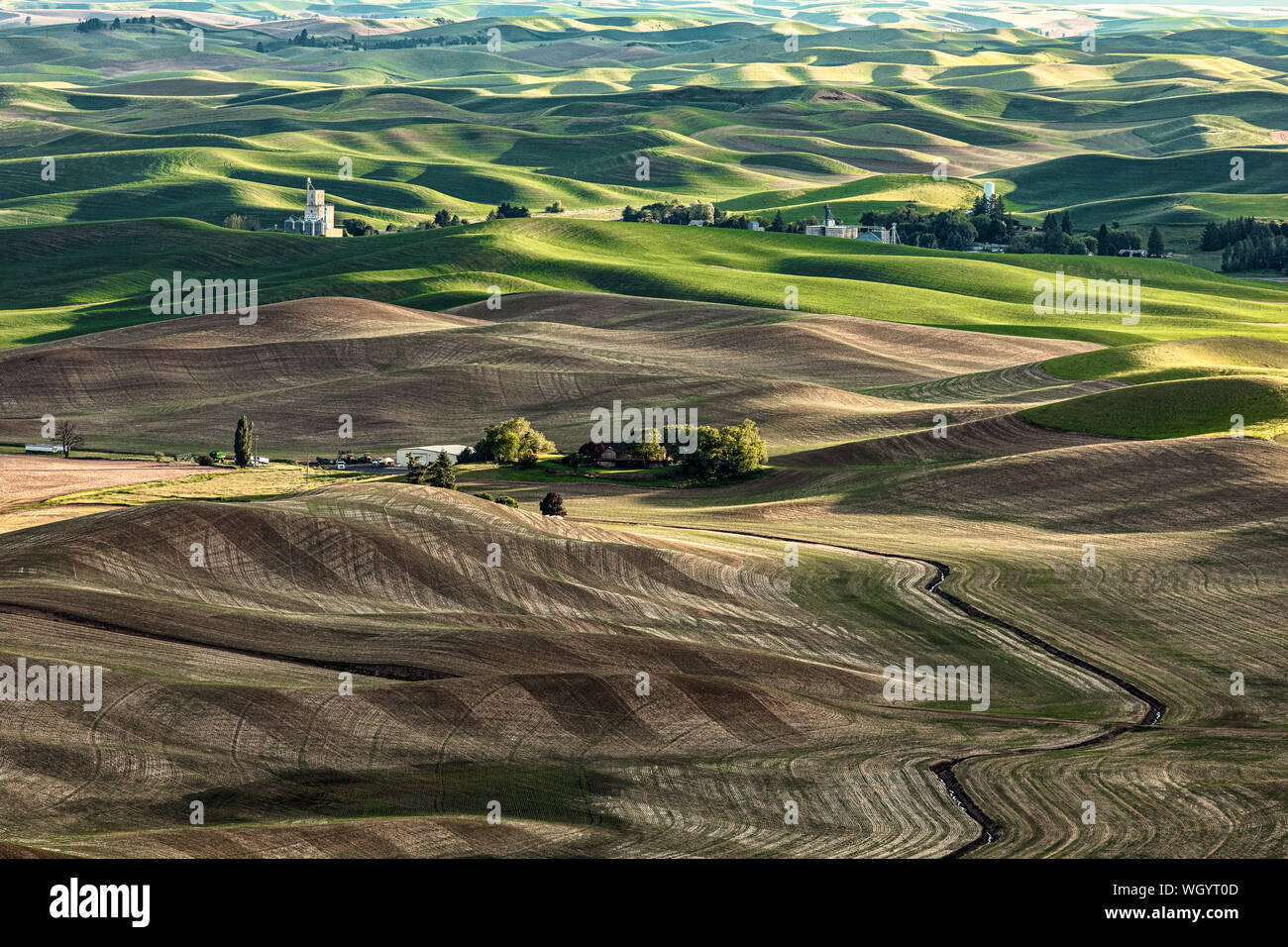 Casser la lumière du soleil à travers les nuages sur la Palouse, Washington, soulignant l'Whitman Comté Growers silo à grains. Banque D'Images