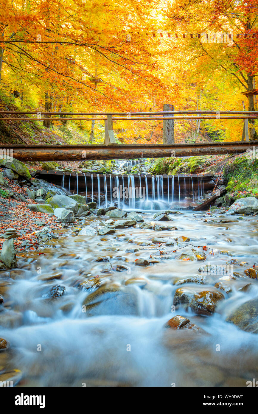 Dans la forêt d'automne - des arbres, petit pont de bois et de pierres de la rivière rapide, paysage d'automne Banque D'Images