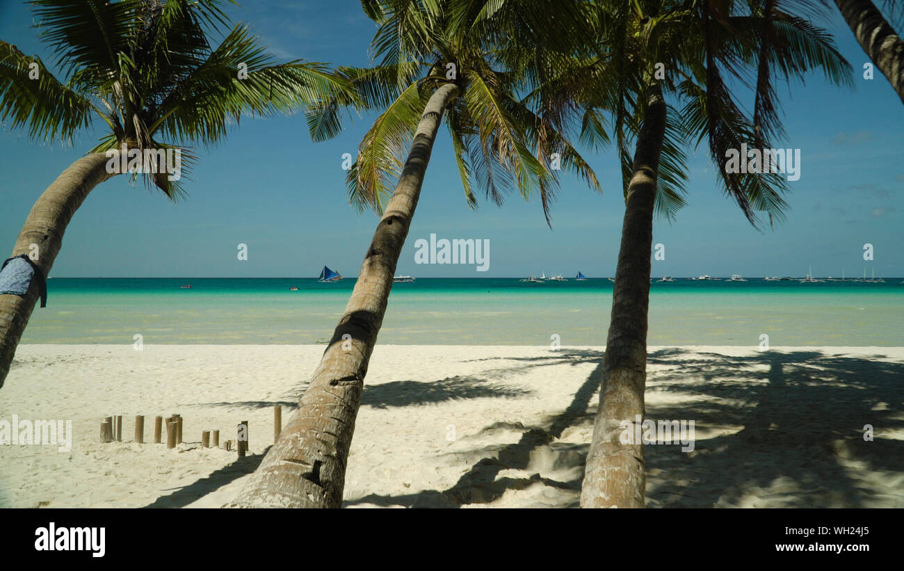 Sandy plage tropicale avec palmiers et la mer bleue contre le ciel. Billet d'été et vacances. Boracay, Philippines Banque D'Images