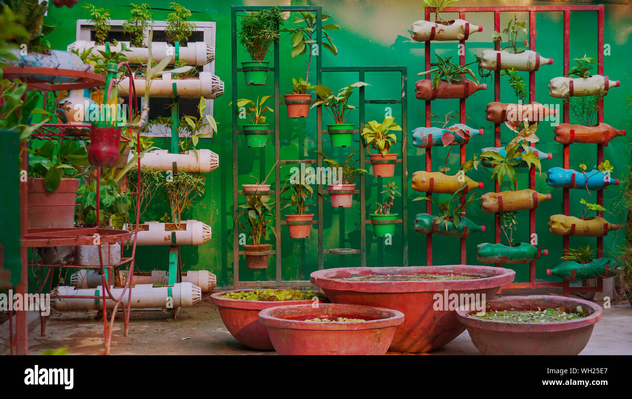 Jardins ornés d'arbres et de fleurs dans divers contenants Banque D'Images