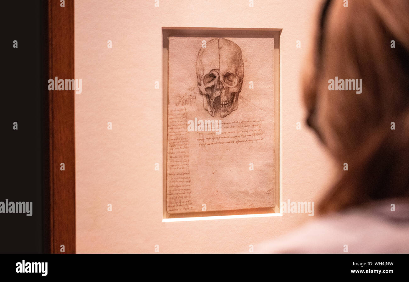 Exposition de Leonardo Da Vinci's amazing dessins à Londres qui marque le 500e anniversaire de la mort de Léonard de Vinci. Banque D'Images