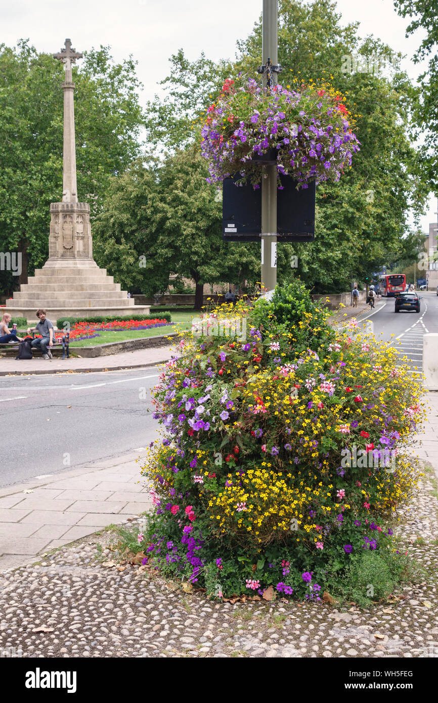 La fin de l'été coloré de fleurs par le conseil de ville de St Giles', Oxford, UK. Banque D'Images