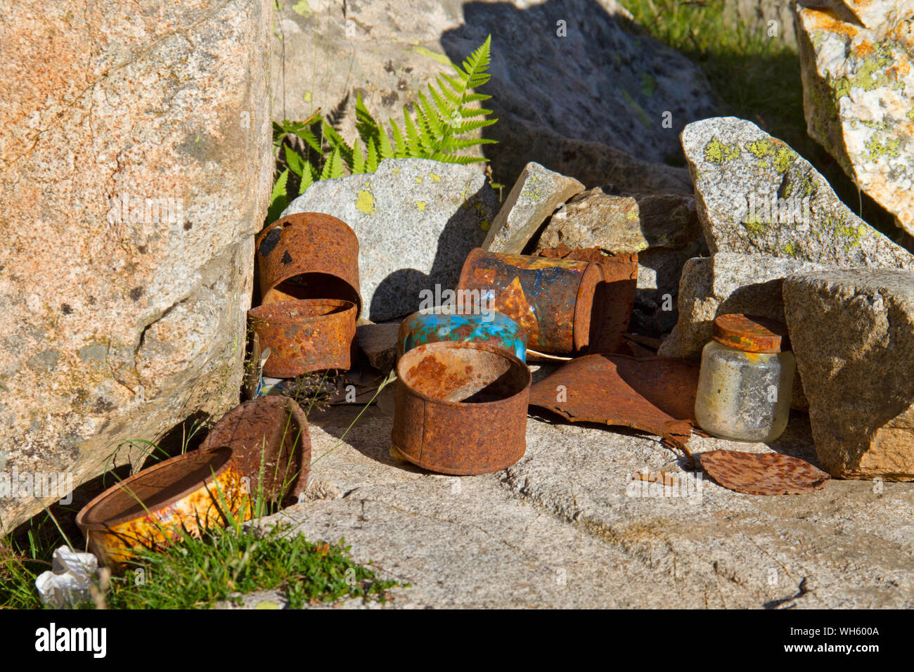 La pollution de l'environnement : boîtes de conserve rouillées laissées dans un camp de montagne Banque D'Images