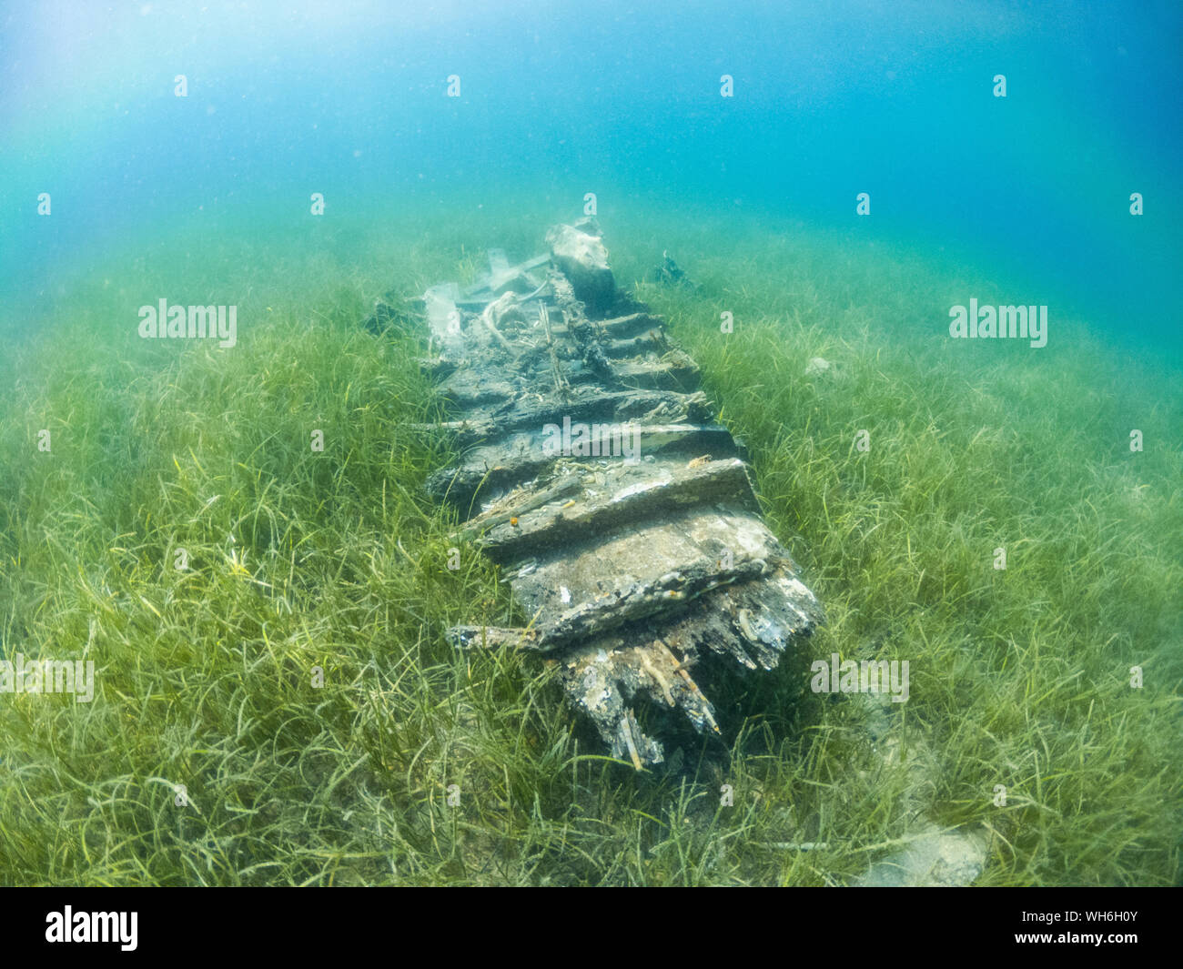 La plongée dans la mer Adriatique Banque D'Images