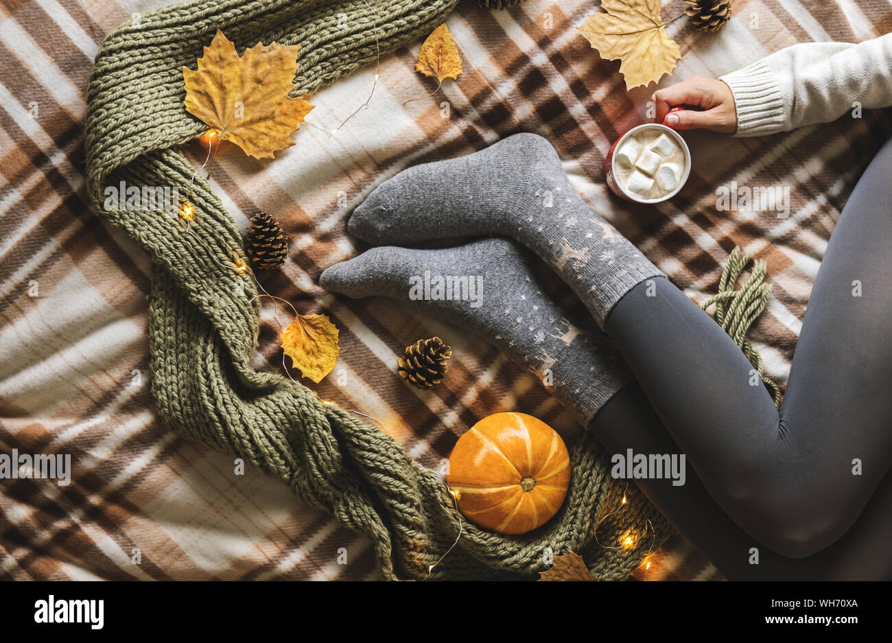 Les mains et les pieds de femmes chandail en laine et chaussettes gris  confortable holding tasse de café chaud avec de la guimauve, assis sur la  citrouille avec plaid, en écharpe Photo