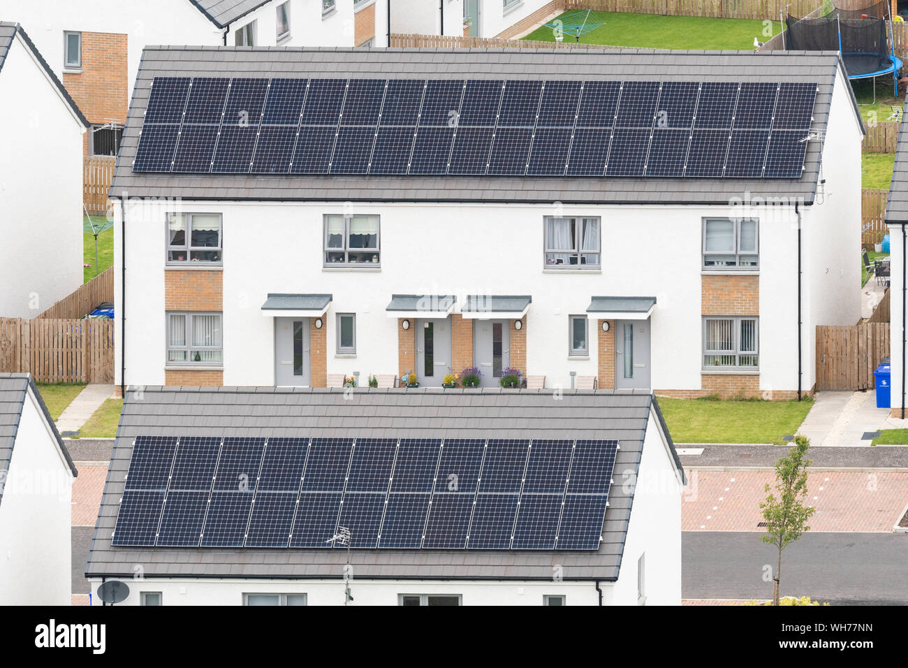 Nouveau bâtiment avec des panneaux solaires sur les toits, Raploch, Stirling, Scotland, UK Banque D'Images
