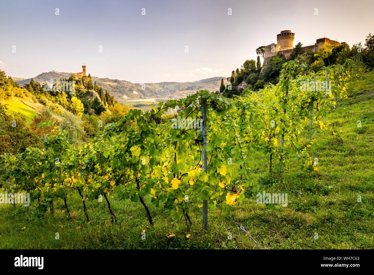 Vignes en face de la forteresse Rocca Manfrediana, sur la gauche de la tour de l'horloge Torre dell'Orologio, Brisighella, Emilia-Romagna, Italie Banque D'Images