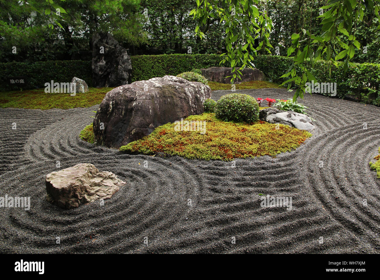 Jardin zen japonais à Kyoto (Taizo-in) Banque D'Images