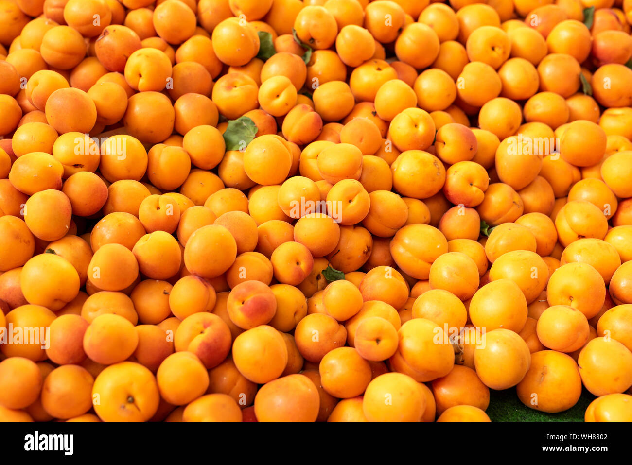 Abricots naturels frais sur la rue du marché provençal Banque D'Images
