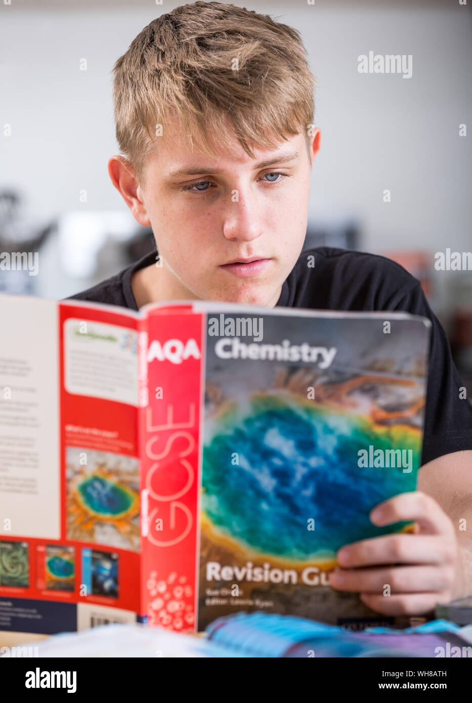 Un élève de l'école réviser pour ses examens du GCSE Banque D'Images