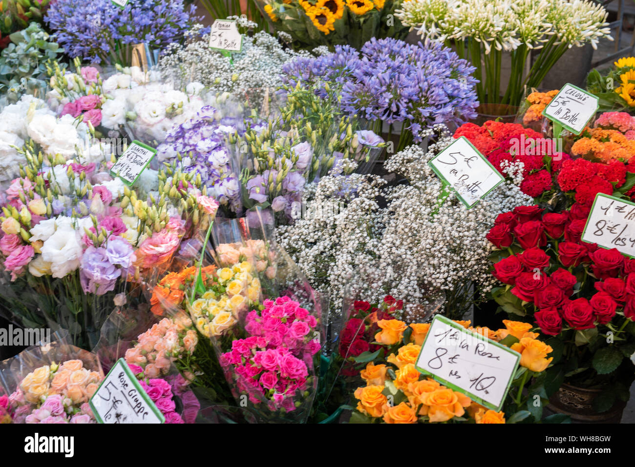 Bouquets de fleurs sur le marché des fleurs, Aix-en-Provence, France Banque D'Images