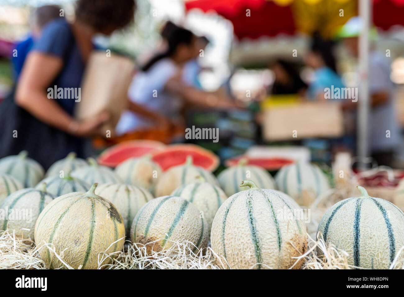 Le melon Cavaillon sur le marché provençal Banque D'Images