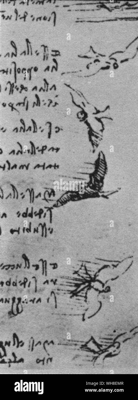 La caméra peut geler l'aile-beat d'un oiseau, mais Leonardo avait d'arrêter le mouvement des ailes dans son esprit et il a attiré des centaines de fois les positions d'oiseaux en vol. 'Un oiseau fait la même utilisation des ailes et la queue en l'air comme un nageur ne de ses bras et jambes dans l'eau". Leonardo da Vinci (1452-1519) était un architecte italien de la Renaissance, musicien, anatomiste, inventeur, ingénieur, géomètre, sculpteur et peintre. . . Banque D'Images