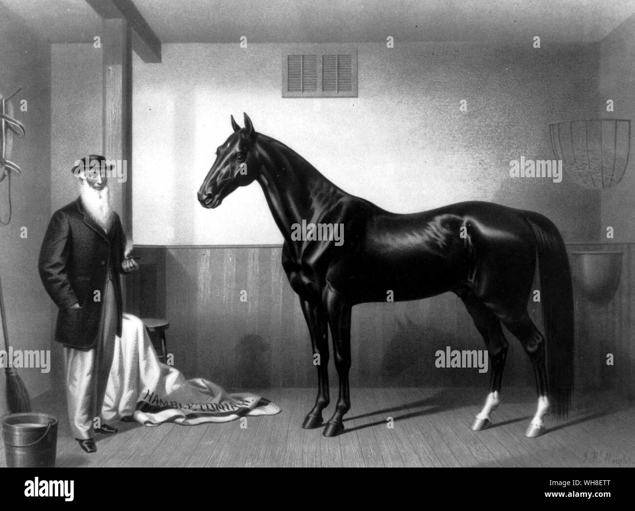 L'Hambletonian 1865 William Rysdyk, père de l'cheval au trot. Son employeur, Seeley, l'acquisition d'un Charles Kent Mare, qui avait été blessé en permanence et a été utilisé uniquement pour l'élevage. Produits par Bellfounder, elle était d'ascendance Norfolk Trotter, une race connue pour son allure lisse. Seeley produites sa mare d'Abdallah, qui est le petit-fils de Messenger, mais une moyenne et vilain cheval. La progéniture de la Charles Kent Mare et Abdullah était un bay colt qui était d'être la clé de voûte de l'avenir de la course sous harnais.. Rysdyk convaincu son employeur de lui vendre le colt et le nomme Hambletonian. Dans tous les, Hambletonian Banque D'Images