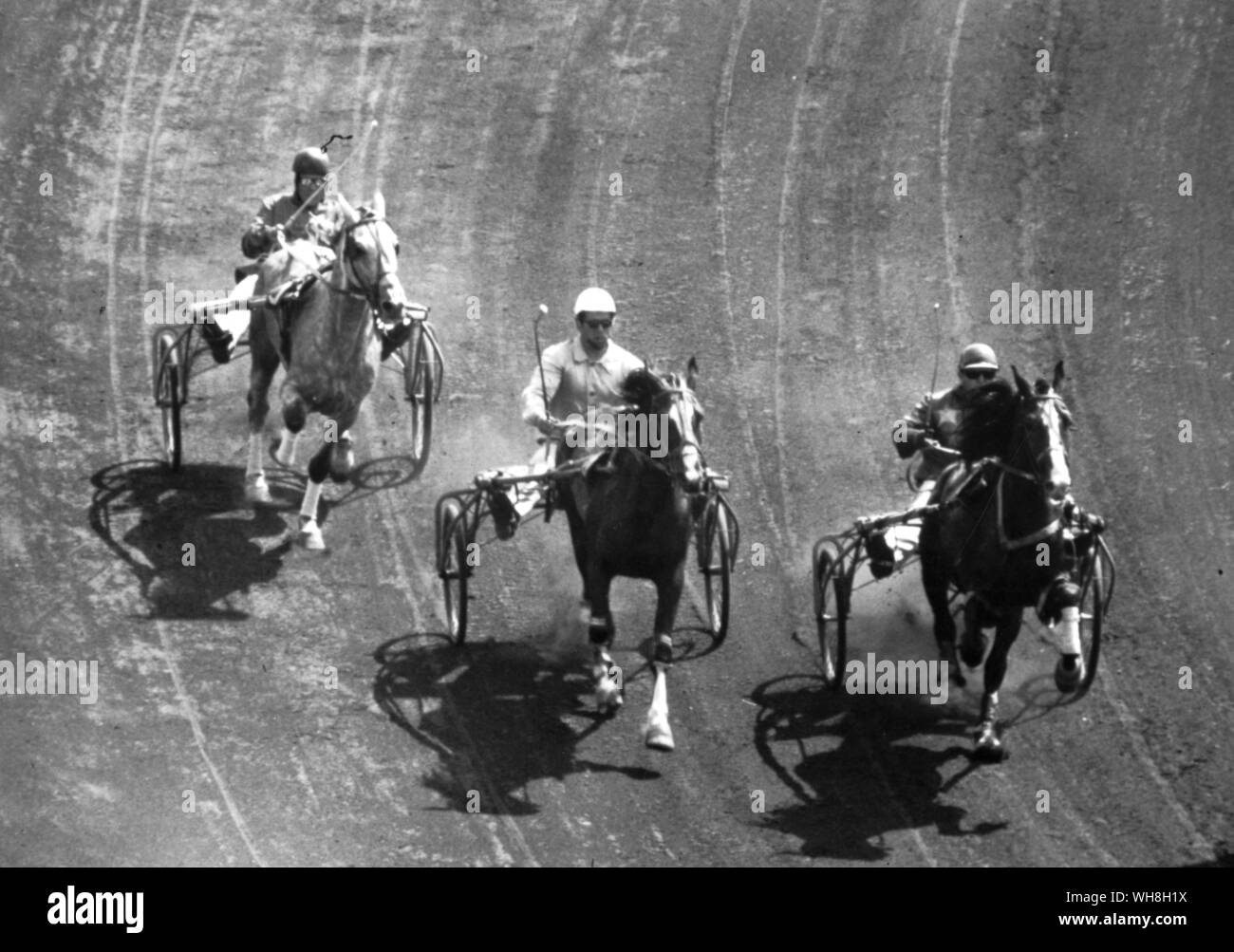 Orlov trotter Banque d'images noir et blanc - Alamy