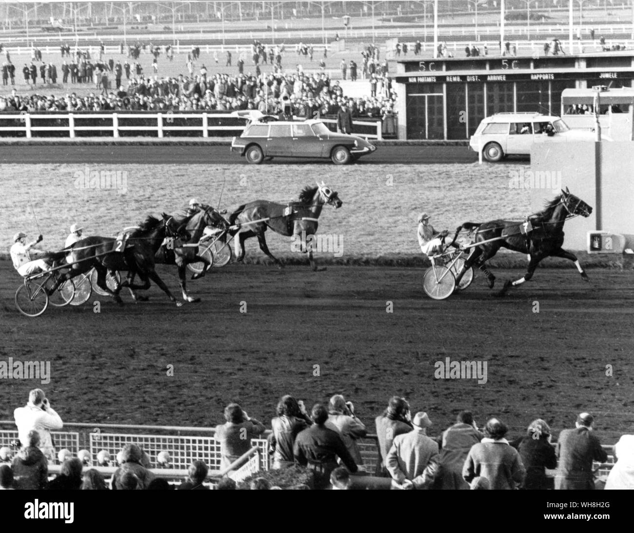 French Trotter, Tidalium Pelo, remporte le Prix d' Amérique 1971 à Vincennes. Encyclopédie canadienne du cheval page 160. . . . Banque D'Images