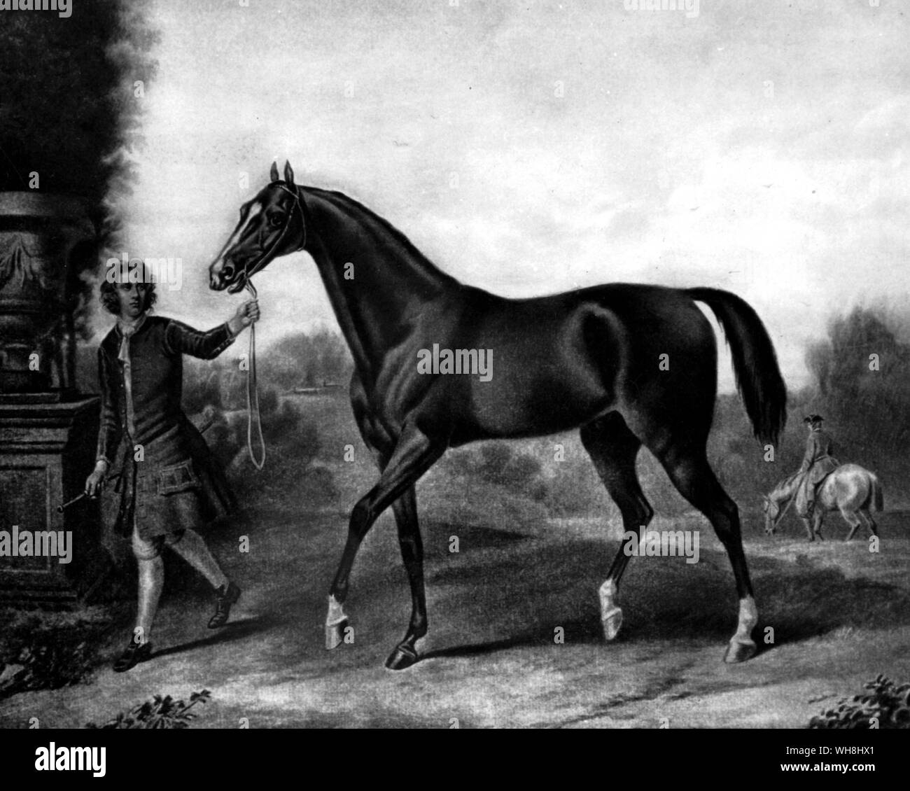 Darley Arabian. Ce cheval était née en 1700. Il a été d'environ 20 ans plus jeune que Byerley's. Il a été acheté par Thomas Darley à Alep en 1704, qui l'a envoyé à son frère Richard à Aldby, Yorkshire. Il resta là jusqu'en 1730, puis la propriété de John Brewster Darley. Un de ses fils a Bulle Rock, le premier pur-sang d'aller à l'Amérique. D'autres ont été les deux Childers, un des premiers grands chevaux de pur-sang, l'autre l'ancêtre, par Eclipse, d'aujourd'hui, la plupart des pur-sang (voir pp. 78-80). Chevaux de pur-sang arabes sont les descendants des chevaux.. L'histoire de cheval Banque D'Images