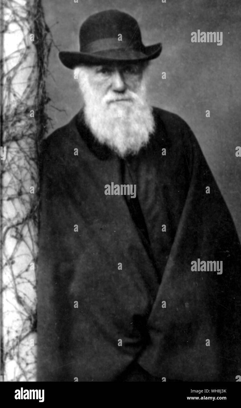 Portrait de Charles Robert Darwin 1809 -1896), le grand naturaliste, dans son moyen-âge c.1854. De Darwin et de l'atterrisseur Beagle par Alan Moorhead, page 268.. Charles Robert Darwin était un naturaliste britannique qui atteint la renommée comme l'auteur de la théorie de l'évolution par sélection naturelle. Darwin, voyage sur le Beagle lui prééminence en tant que géologue et la renommée comme auteur populaire. Ses observations biologiques l'a amené à étudier la transmutation des espèces et de développer sa théorie de la sélection naturelle en 1838. Son livre de 1859, l'origine des espèces au moyen de la sélection naturelle, ou Banque D'Images