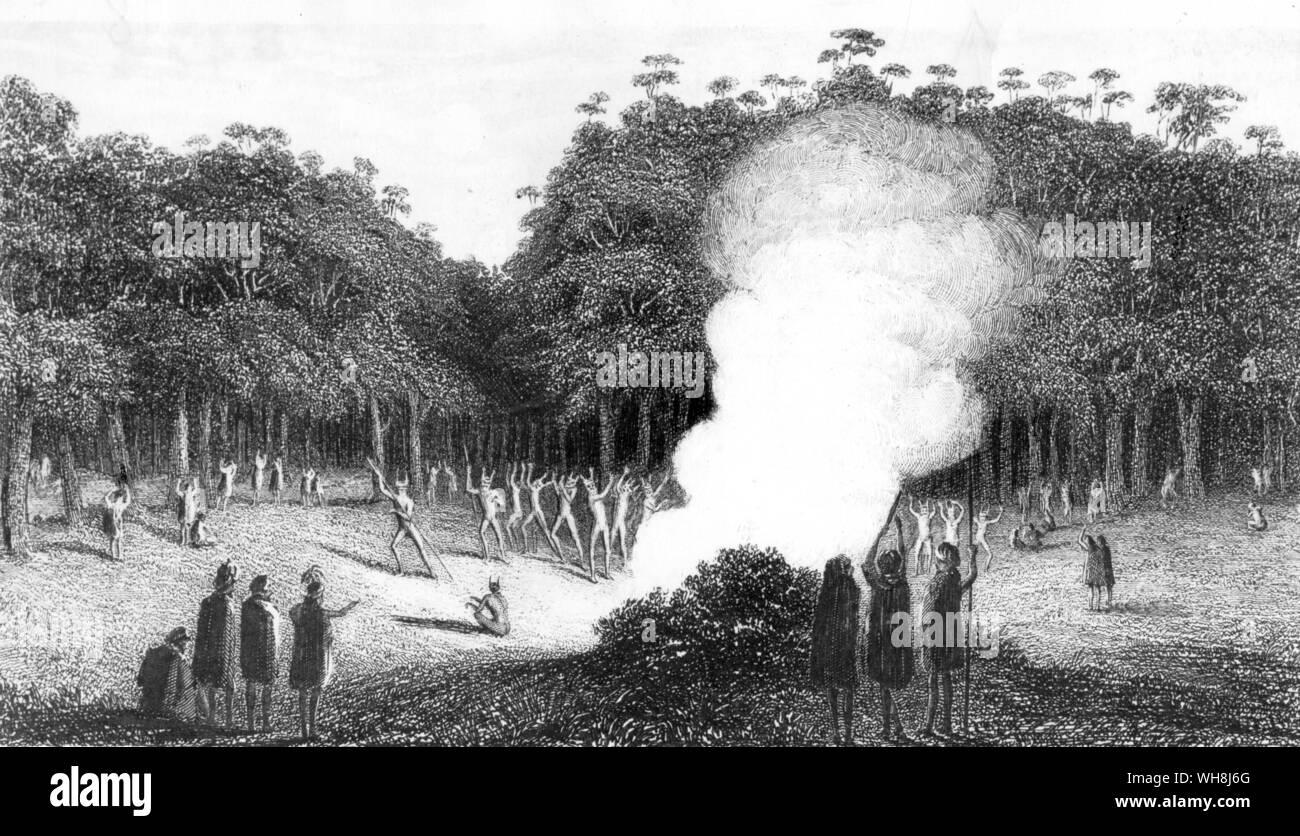 La danse du Kangourou. Darwin's première vue de l'Australie le 12 janvier 1836 lui rappelait la Patagonie, mais le pays de l'intérieur amélioré et il est bientôt rempli d'admiration à l'animation de la ville de Sydney. Darwin et le Beagle par Alan Moorhead, page 223. Banque D'Images