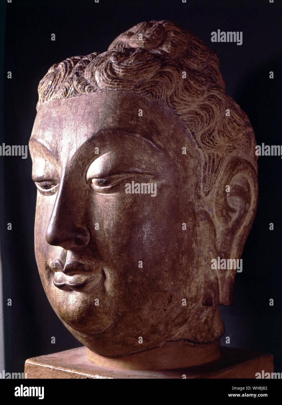 Tête de Bodhisattva 6e siècle Banque D'Images