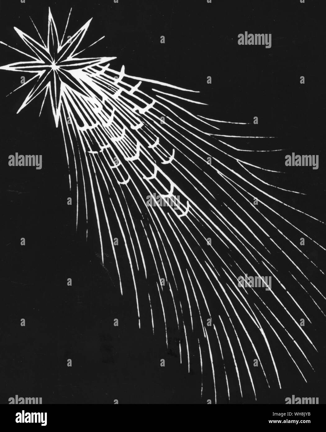 La comète de Halley à partir de la Chronique de Nuremberg Banque D'Images