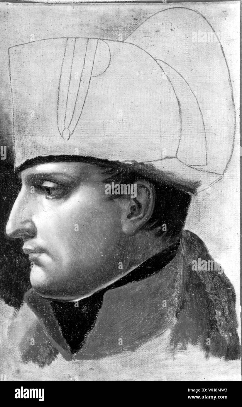 ... Un épais masque à joues de la volonté personnelle...' : Bonaparte, à propos de 1808, dans une peinture de Jacques-Louis David. Musée Bonnat, Bayonne. Photo : Musées Nationaux Banque D'Images