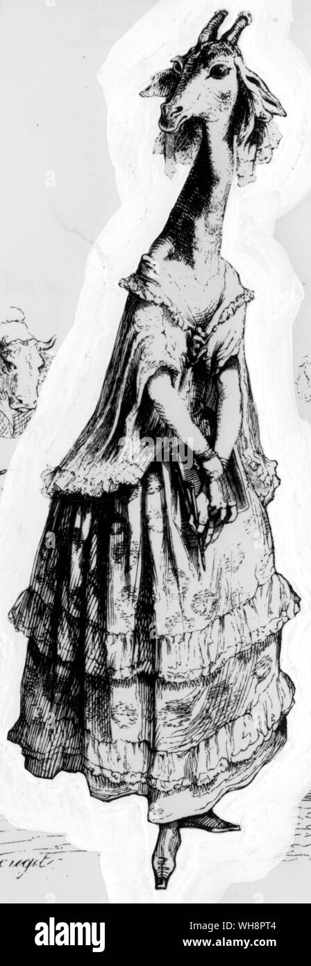 Femme girafe Banque D'Images