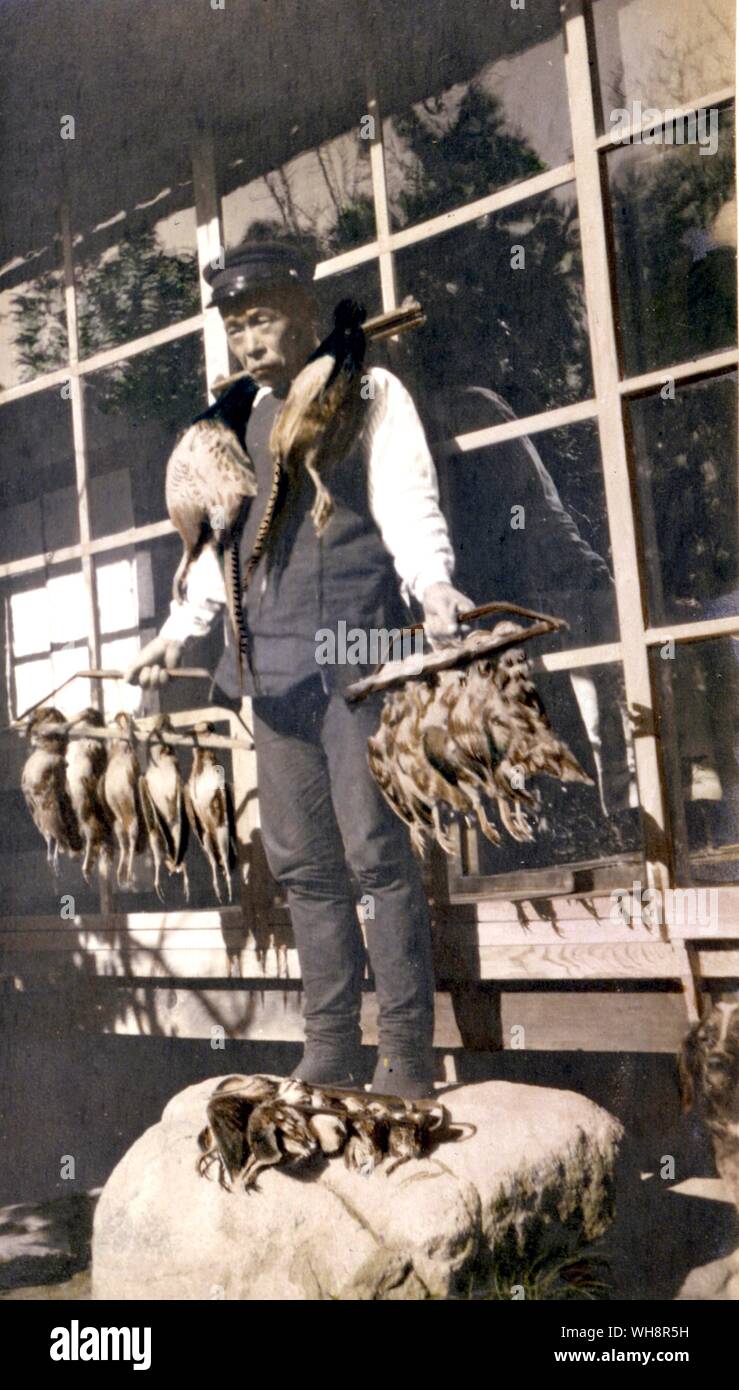 L'homme japonais transportant des faisans morts. 1905. Banque D'Images