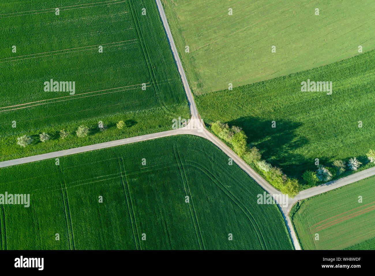 Vue aérienne de treelined road avec intesection à travers les champs agricoles, Franconia, Bavaria, Germany Banque D'Images