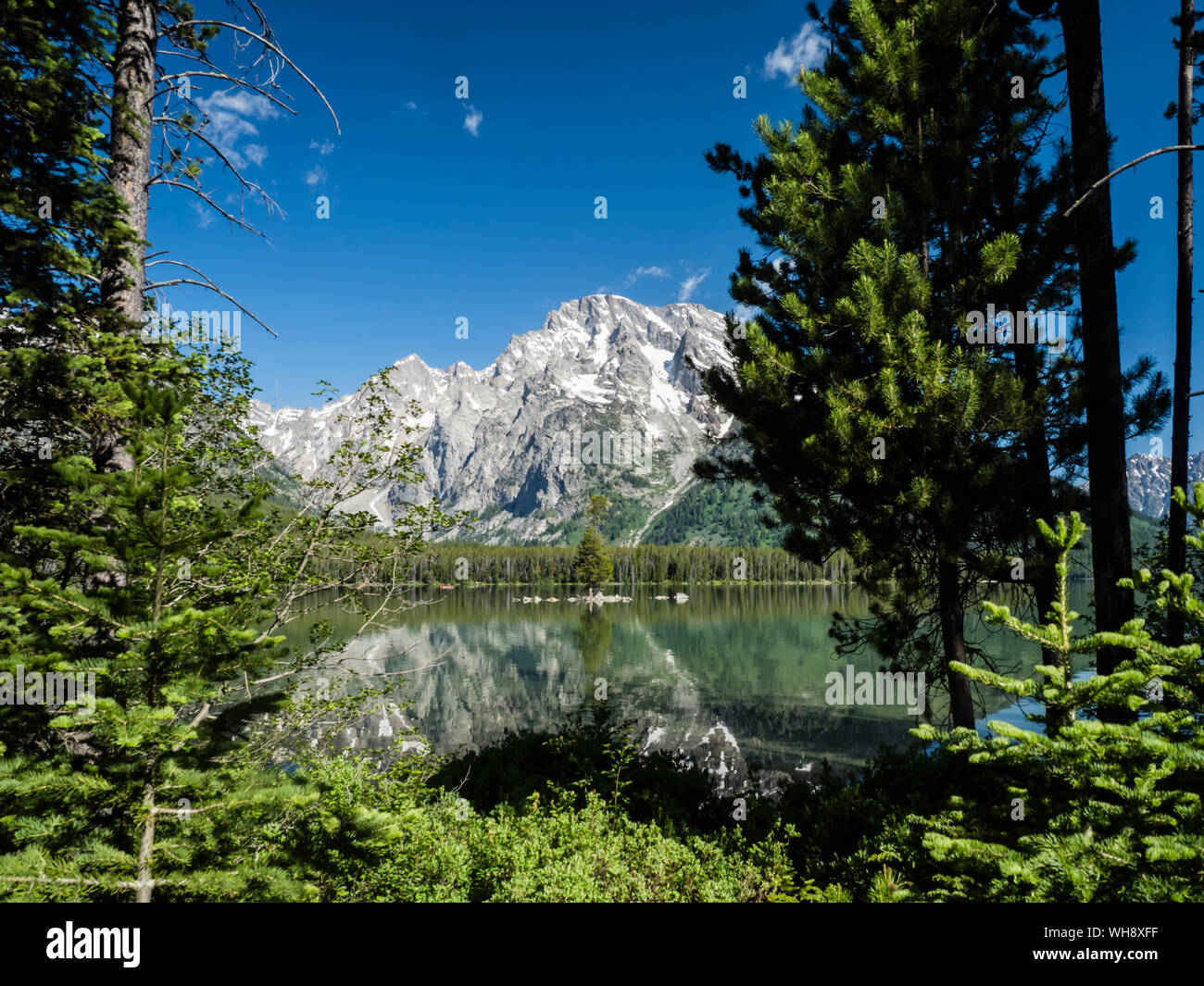 Montagnes enneigées reflète dans les eaux calmes du lac Leigh, Parc National de Grand Teton, Wyoming, États-Unis d'Amérique, Amérique du Nord Banque D'Images Montagnes enneigées reflète dans les eaux calmes du lac Leigh, Parc National de Grand Teton, Wyoming, États-Unis d'Amérique, Amérique du Nord Banque D'Images
