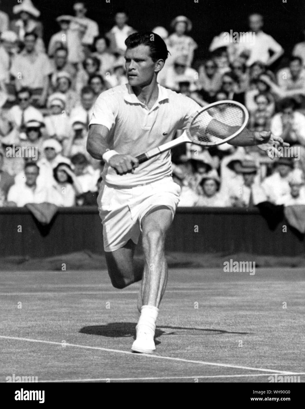 Budge Patty des USA. A remporté le titre de Wimbledon 1950.. Banque D'Images