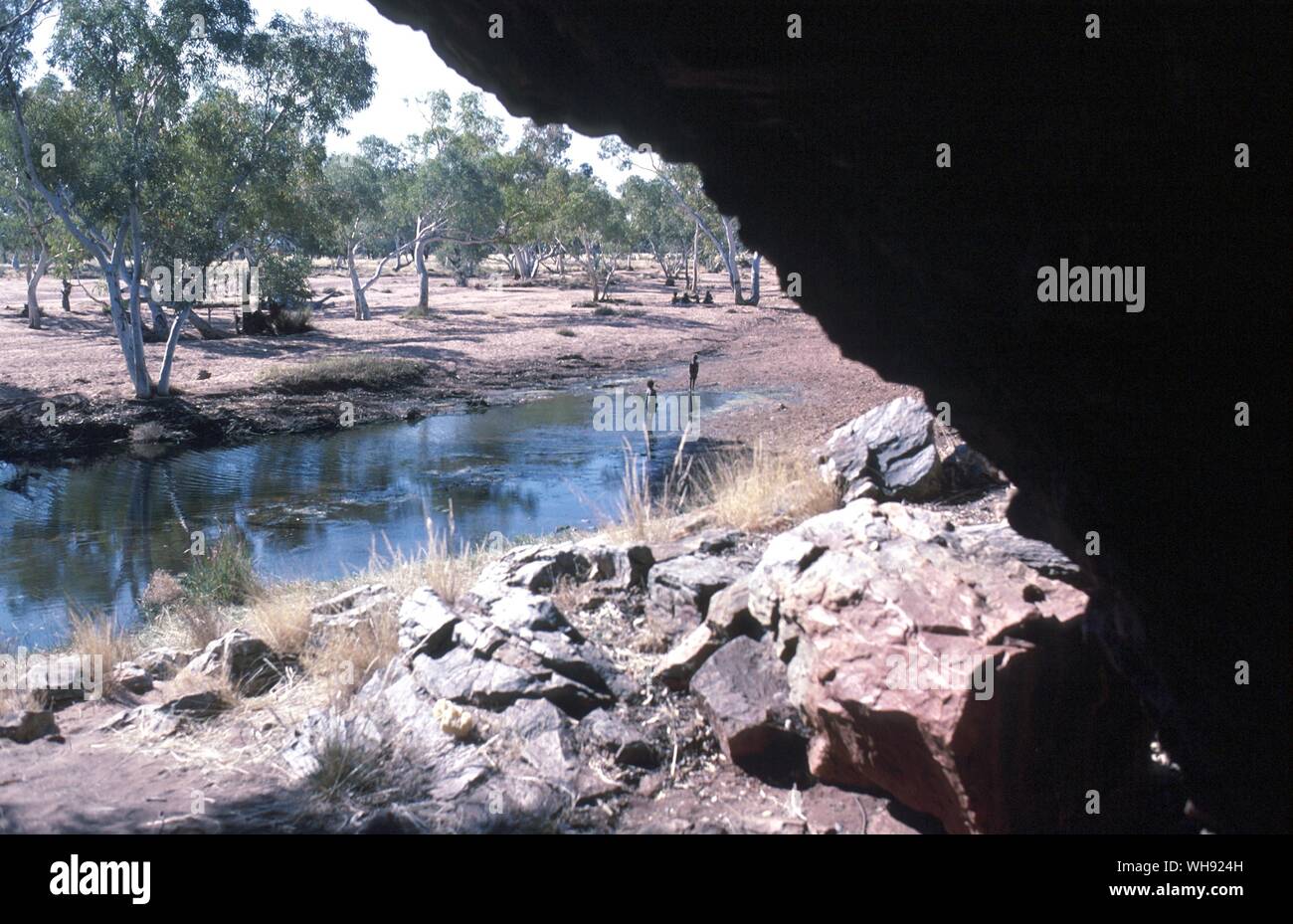 Le point de vue de la grotte où en 1931 Lewis Lasseter abri pour vingt-cinq jours avant de partir avec 1,7 litres d'eau pour essayer de marcher cent quarante kilomètres au Mont Olga il a fait Pottoyu Hills cinquante cinq kilomètres avant de mourir le 28 janvier 1931 Banque D'Images