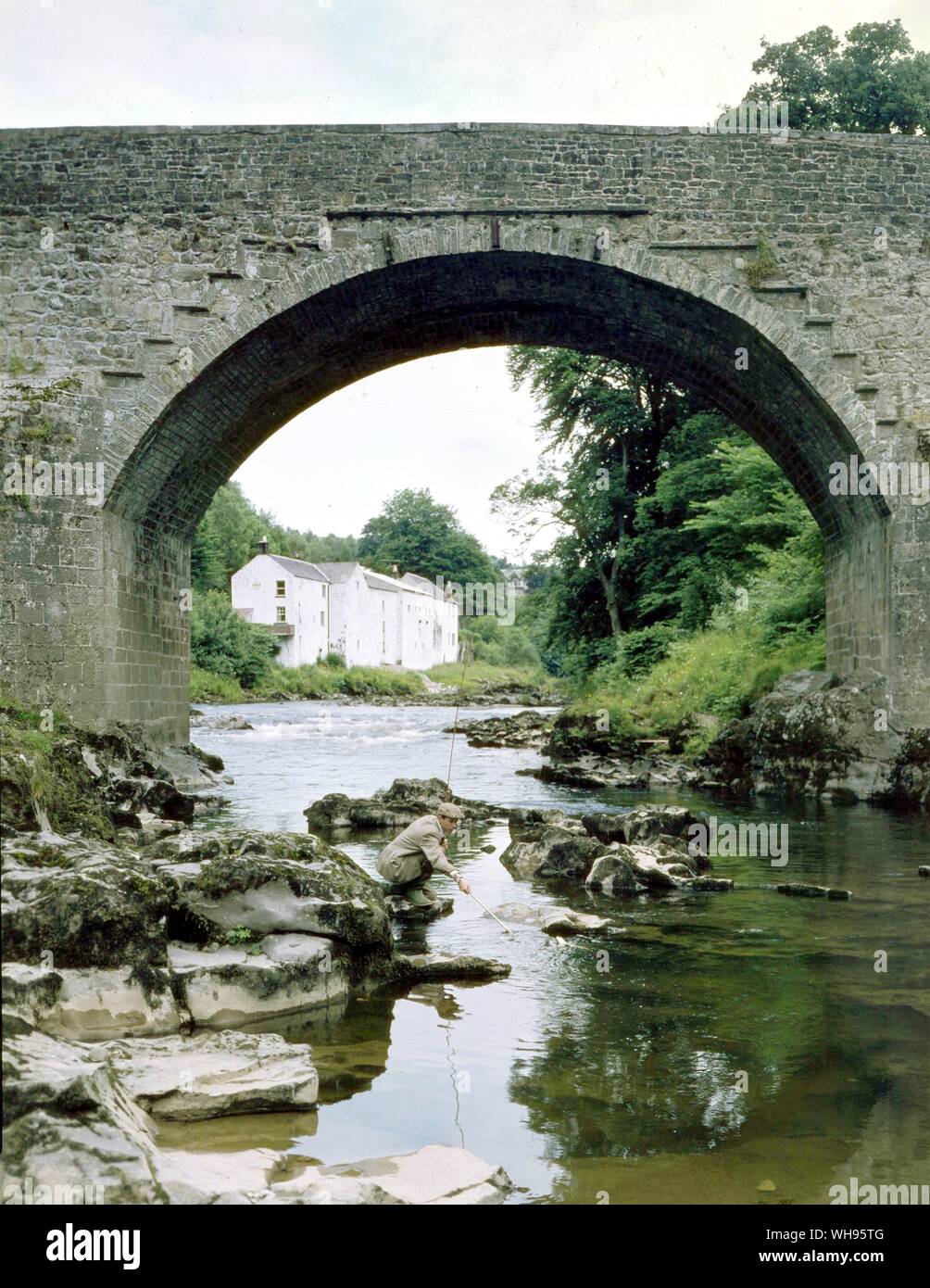 Filet de truite de mer au Skipper's Bridge sur la rivière Esk, Yorkshire du Nord.. . . . . . . . Banque D'Images