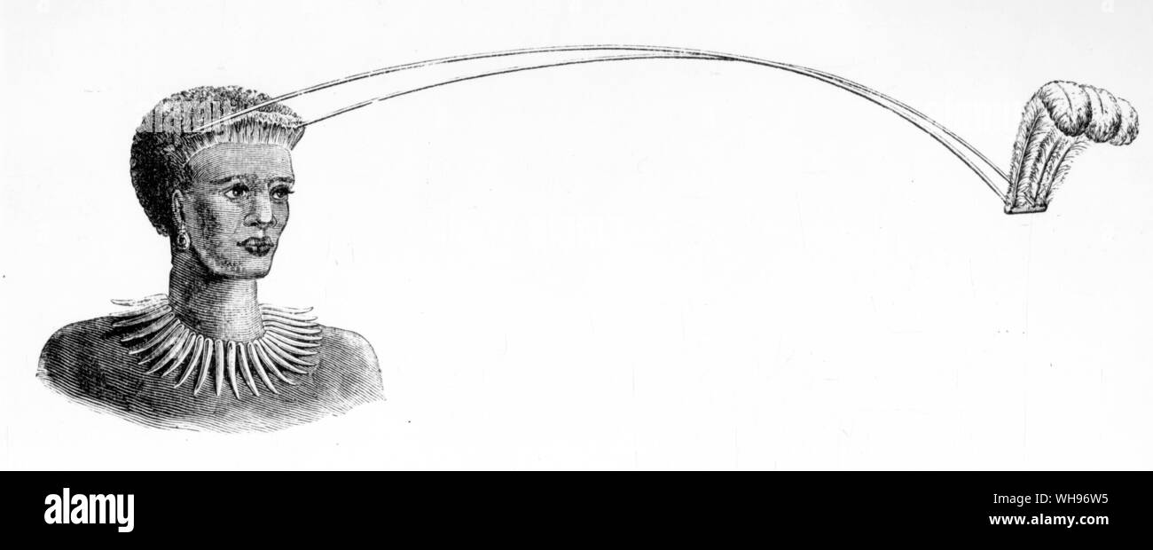 Femme Fidjienne Banque D'Images