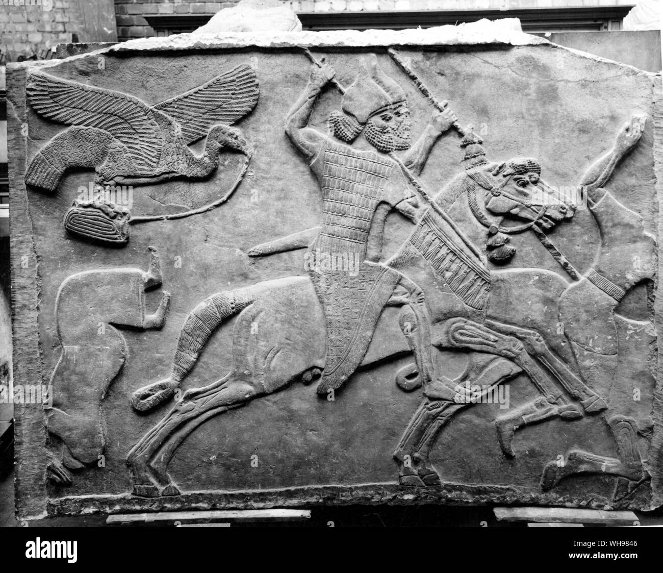 La guerre antique/ assyrien. Cavalerie en relief. 745-27 B.C. Banque D'Images