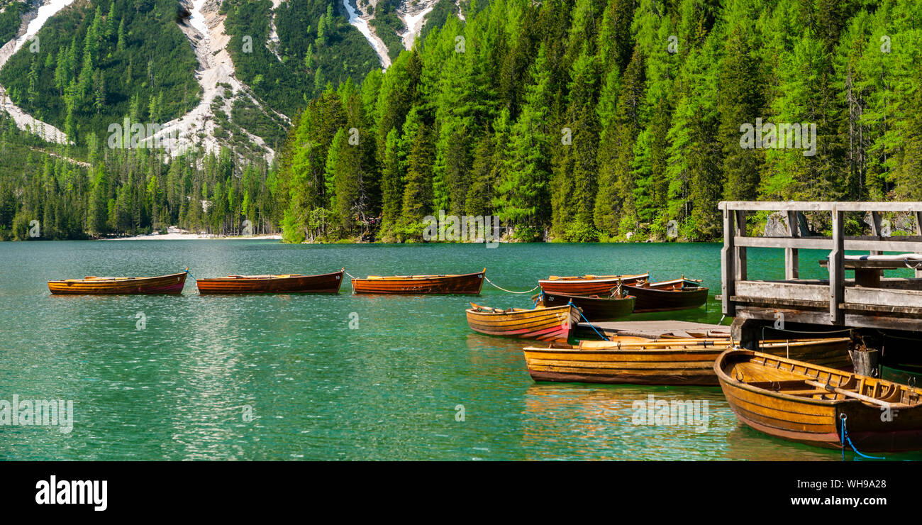 Rangée de barques sur Pragser Wildsee, Braies Dolomites, Alto Adige, Italie Banque D'Images