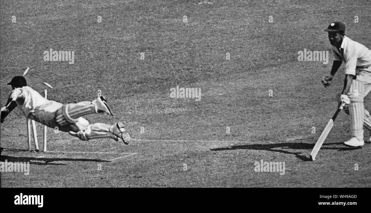 T Godfrey Evans tente d'exécuter des Worell dans le troisième critère à Nottingham 1950 Banque D'Images