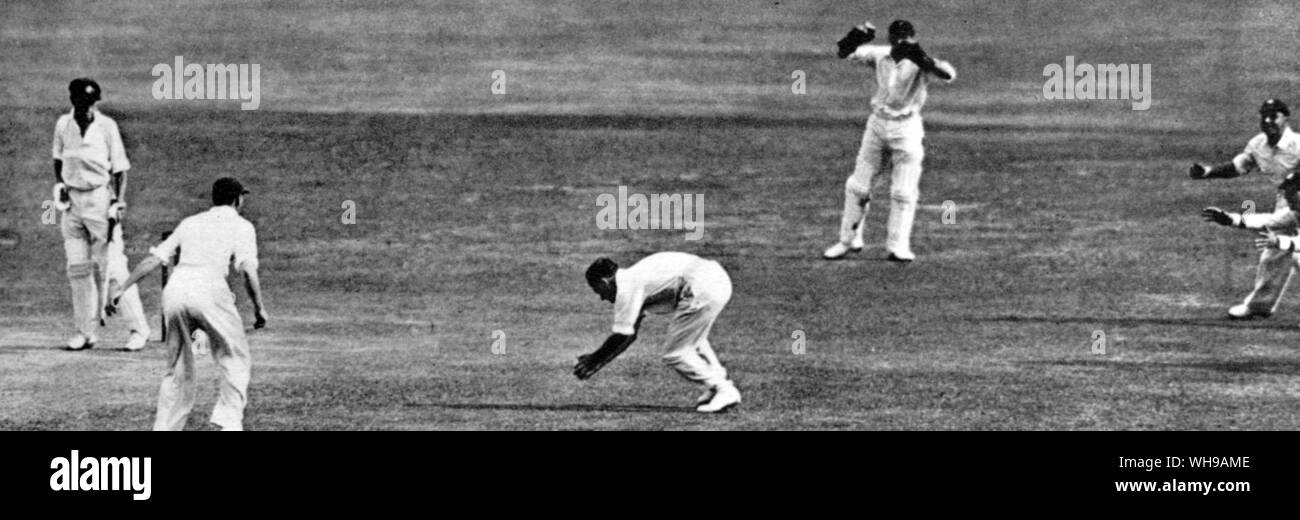 D R Jardine né 1900 action . Jardine's leg trap à Sydney en 1932 lorsque l'Angleterre a gagné par 10 guichets. Fingleton est le batteur, l'Ames wicket keeper, et les quatre pattes courtes sont Jardine, O G R E S S, Allen Wyatt et Hammond Banque D'Images