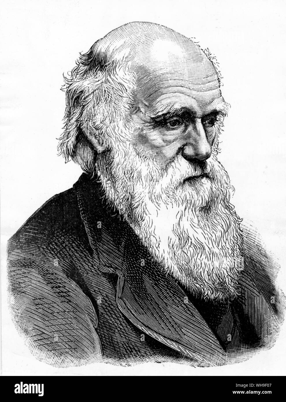 Charles Darwin (1809-1882), scientifique anglais qui a développé la théorie moderne de l'évolution et a proposé, avec Robert Wallace, le principe de la sélection naturelle. Banque D'Images