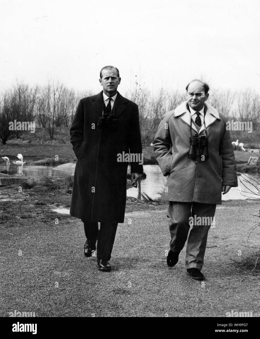 Le prince Philip, duc d'Édimbourg. Époux de la reine Elizabeth II d'Angleterre. Banque D'Images